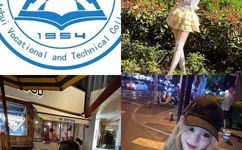 双枪老太婆广场舞